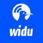 WIDU.africa’s Thematic Call 2024 logo