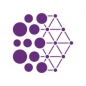 Mila AI Policy Fellowship logo