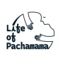 Life of Pachamama COP31 Fellowship Program: “Pathway to the Democratisation of the Future” logo