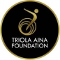 Dr. Fola Aina Foundation Fellowship Program For Young Nigerians logo