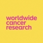 Worldwide Cancer Research Project Grants for Innovative Cancer Biology Studies logo