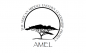 AMEL Project Institute Summer logo