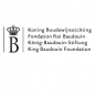 King Baudouin Foundation - Ernest Solvay Fund logo