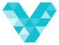 2024 Summer Fellowship Program by Values Partnerships (VPI) logo