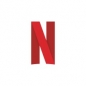 Netflix Internship Program logo