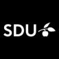 University of Southern Denmark Urban Resilience Intensive Training logo