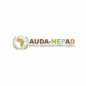 AUDA-NEPAD’s Home Grown Solutions Accelerator logo