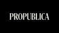 ProPublica - Emerging Reporters Program logo