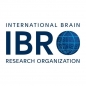 IBRO Diversity Grants logo