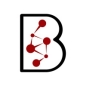 BKR VC Fellowship Program logo