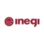 INEGI PhD Scholarship logo