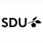 Danish Government Scholarship logo