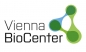 Vienna Biocenter Summer School Talents for Future Program logo