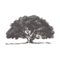 Future Impact Group - Longview Digital Minds Career Development Fellowships logo