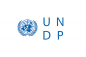 UNDP’s Acceleration Pilot Program 2024 logo
