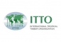 ITTO Freezailah Fellowship Fund 2024 logo