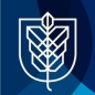 Hult International Business School Scholarship logo