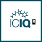 ICIQ Summer Fellowship Programme Call logo