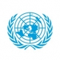 The United Nations Academic Impact/MCN Millennium Fellowship for Emerging Leaders Worldwide logo