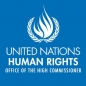 United Nations OHCHR Minorities Fellowship Program logo