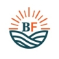 Bolder Futures Fellowship: AI for Social Good logo