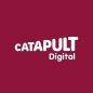 Digital Catapult Black Founders Programme logo