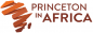 Princeton in Africa Fellowships logo