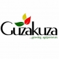 Guzakuza Ignite-African Women in Agribusiness Fellowship logo