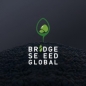 Bridge Seed Global Accelerator Program logo