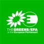 The Greens/EFA in the European Parliament - Green Digital Fellowship Programme logo