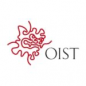 Okinawa Institute of Science and Technology (OIST) Internship logo